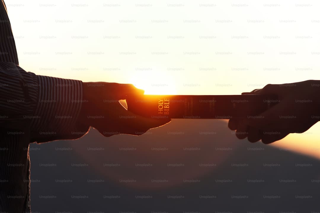 体育锻炼手抄报